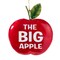 KSA Pack of 6 Red Shiny "The Big Apple" Christmas Ornaments 5"